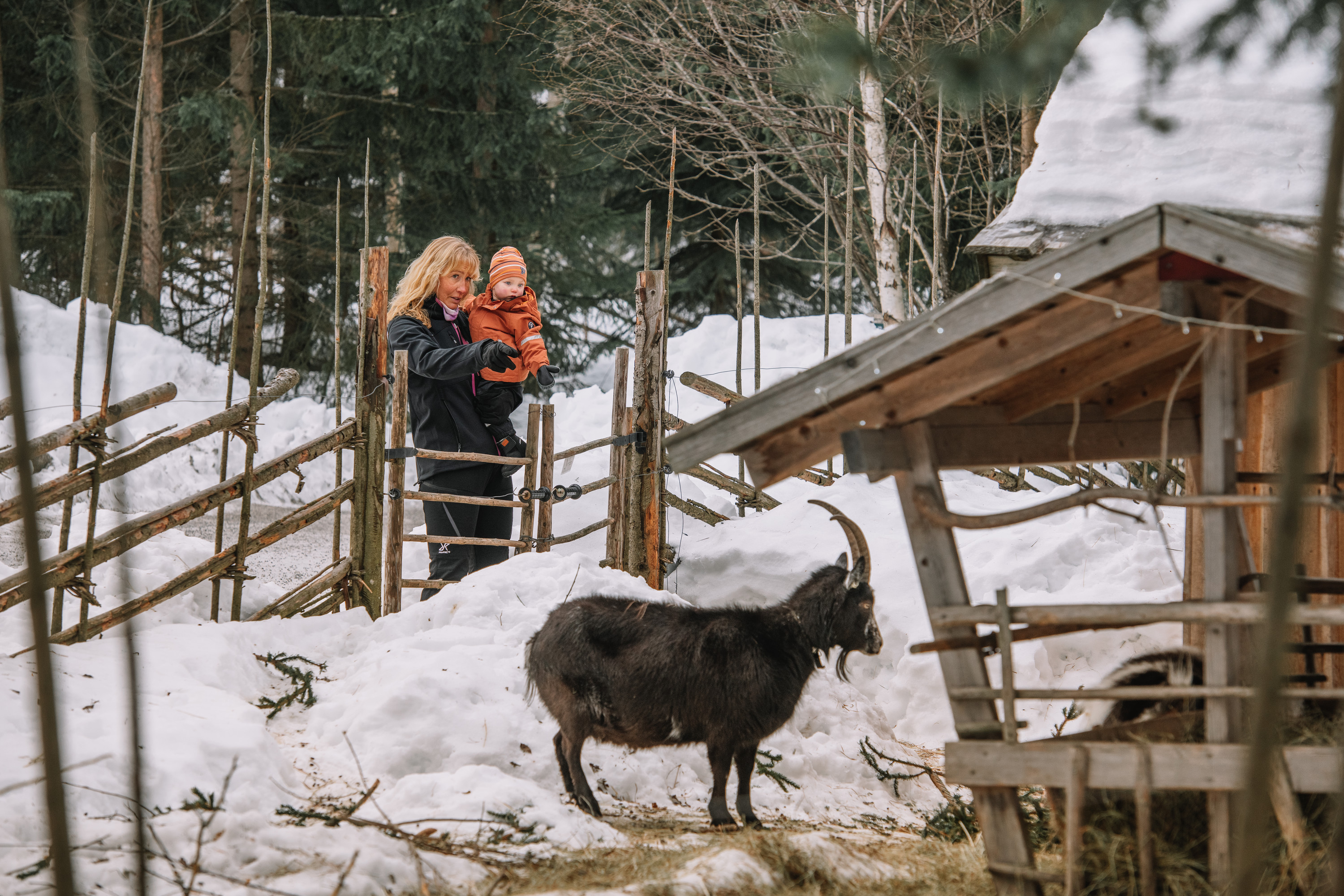 En äldre kvinna står med ett barn i famnen vid en gethage. Det är vinter.