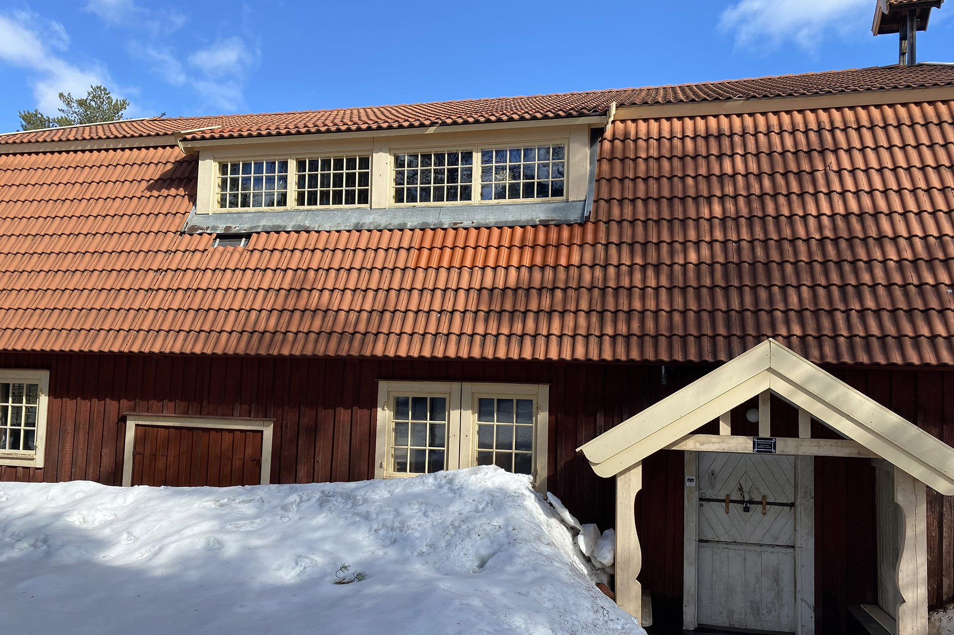 Trampmangeln på vintern. Foto: Norra Berget.