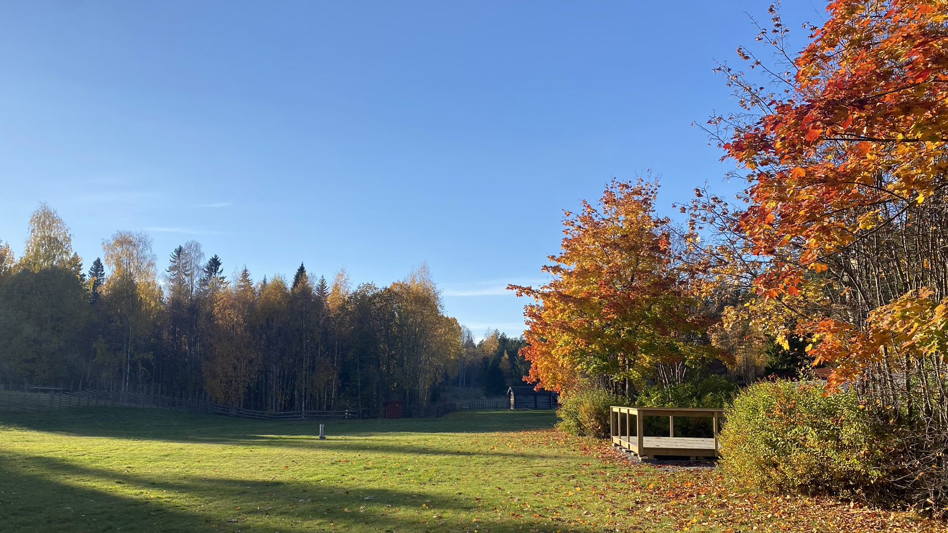 Lapploken i höstfärger. Foto: Norra Berget.