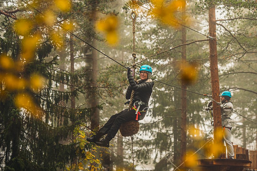 Two people climbing in the trees