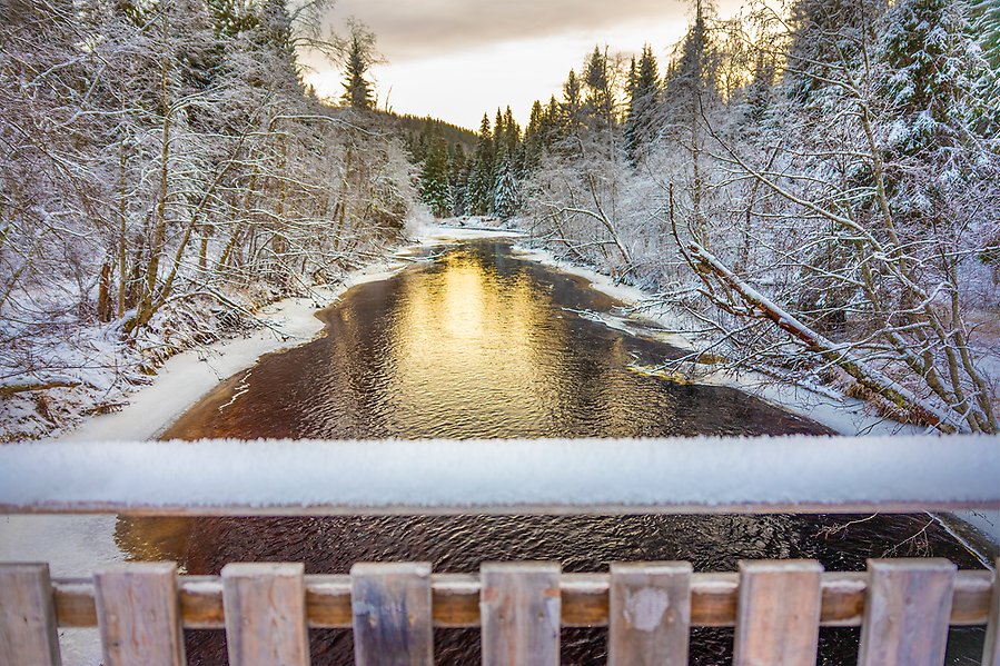 Foto från en bro med utsikt över Mjällån med snöklätt landskap runt om.