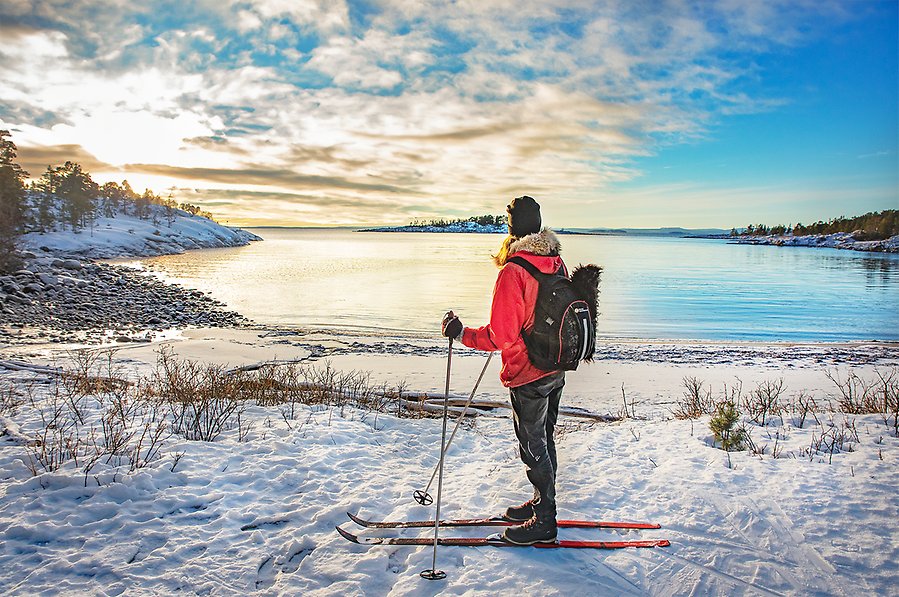 Person står på skidor i snöigt landskap och kollar ut över havet.