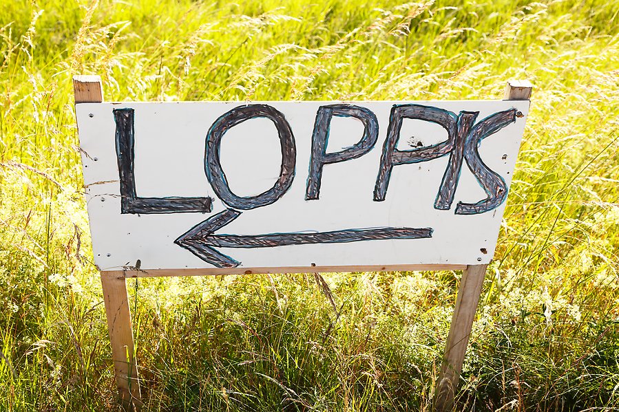 Bild på en skylt som står i gräs med texten "loppis" samt en pil på.