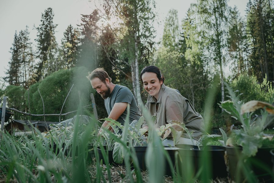 Man och kvinna jobbar i odlingsland tillsammans.