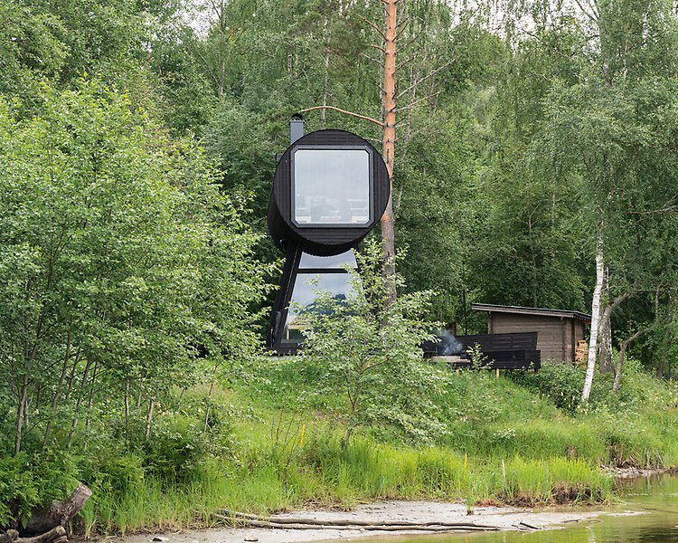 Bild på juileumsdraken